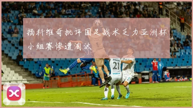 扬科维奇批评国足战术乏力亚洲杯小组赛惨遭淘汰
